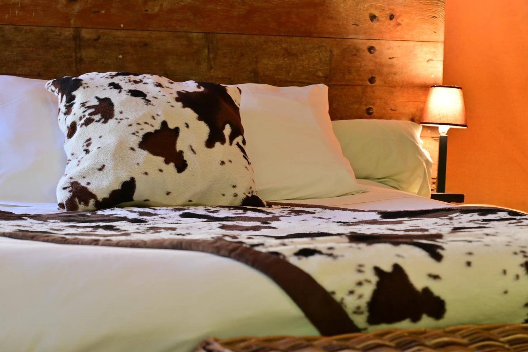 Vallon-Pont-dʼArc Prehistoric Lodge - Adult Only מראה חיצוני תמונה