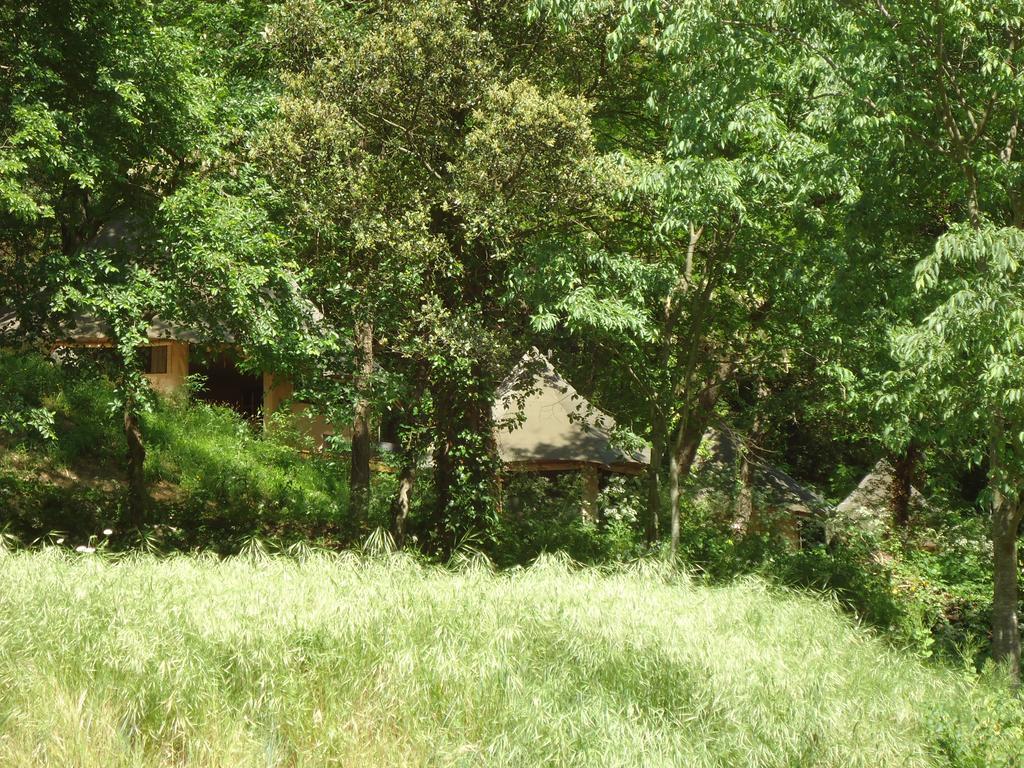 Vallon-Pont-dʼArc Prehistoric Lodge - Adult Only מראה חיצוני תמונה